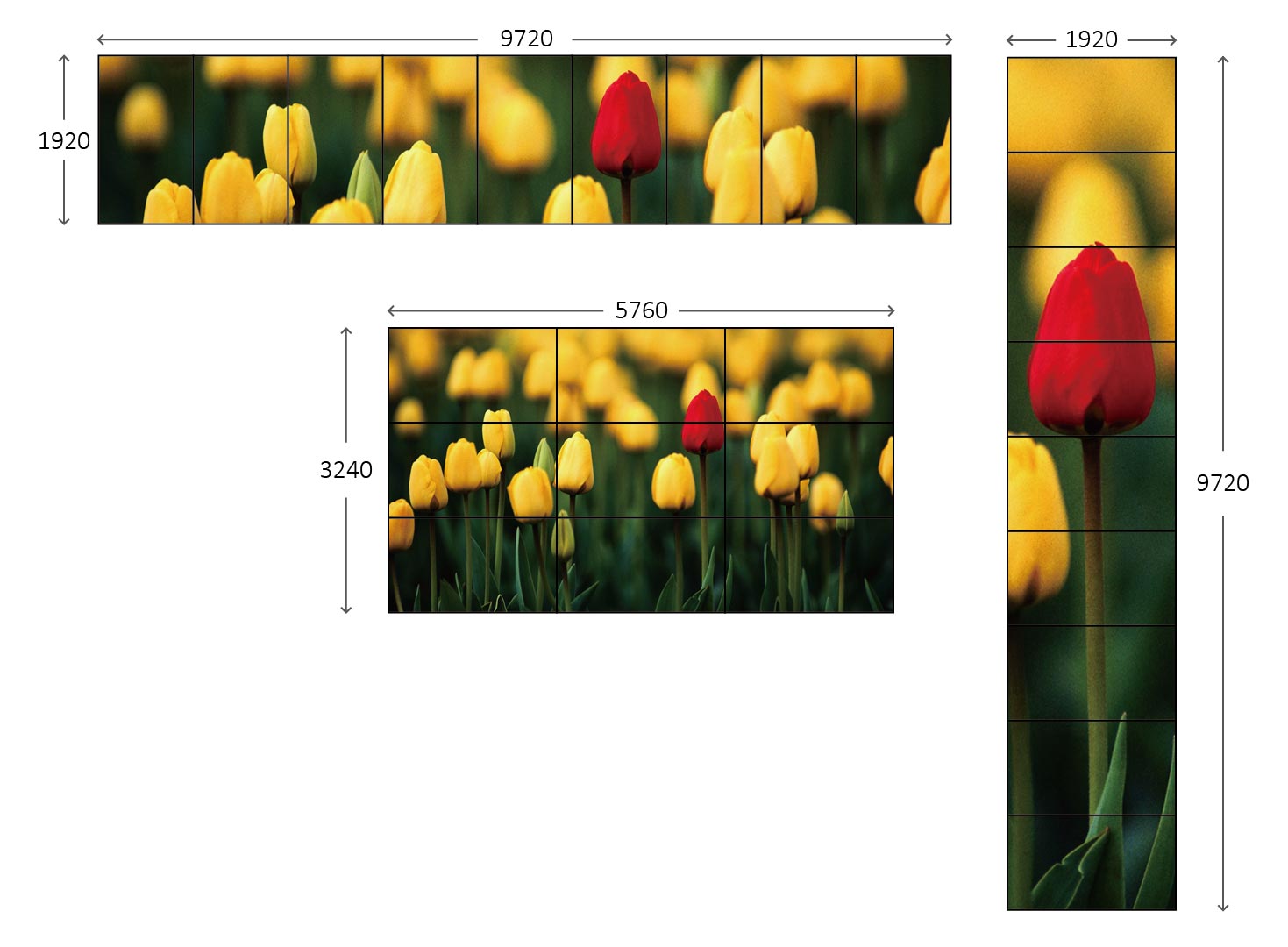Ultra Matrix Pro - Display Solution